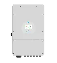 335.webp