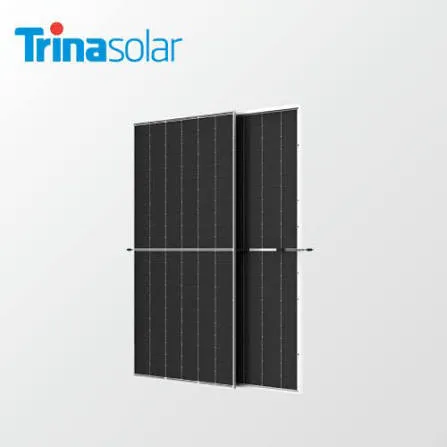 Panneaux Solaires Trina Solar Monofacial P-Type Mono PERC