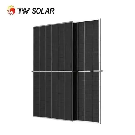 Panneaux Solaires TW Solar Bifacial N-Type TOPCon
